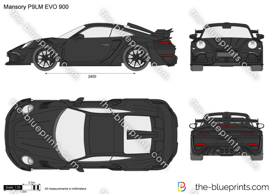 Mansory P9LM EVO 900