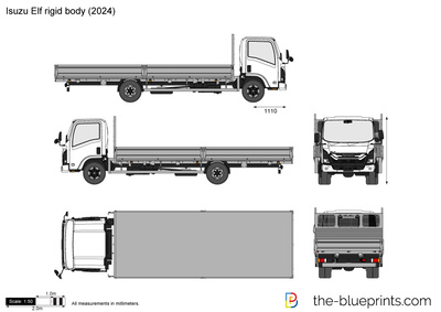 Isuzu Elf rigid body (2024)