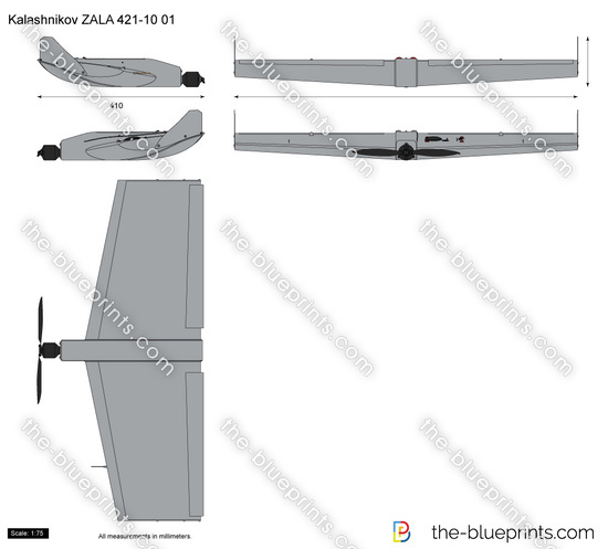 Kalashnikov ZALA 421-10 01